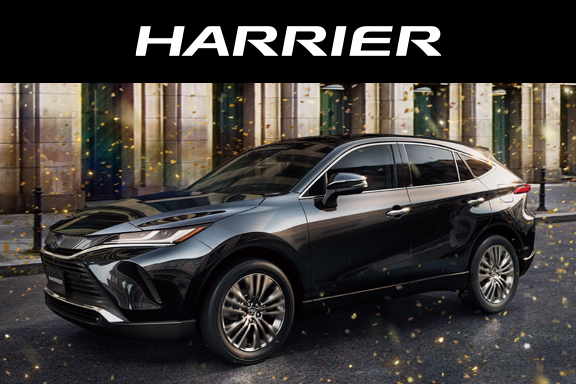 超美品 BADXイグレック&245/40R21 RAV4 ハリアーCX-8ほか 楽天市場】当店限定商品【ハリアー・RAV4・レクサスNX専用