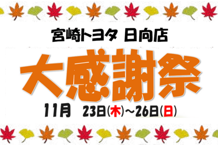 【カラム】T日向店２