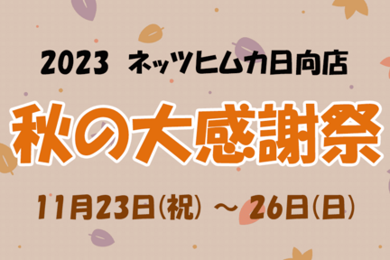 【カラム】H日向店２