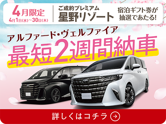 ネッツヒムカ日向店 | 宮崎トヨタ